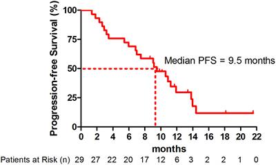 Efficacy and Safety of Low-Dose Nab-Paclitaxel Plus Tislelizumab in Elderly Patients With Previously Treated Metastatic Non-Small Cell Lung Cancer